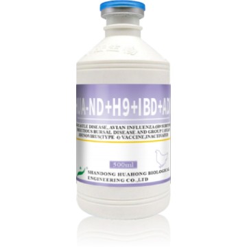 ND H9 IBD FAdV-4 Vaccin inactivat