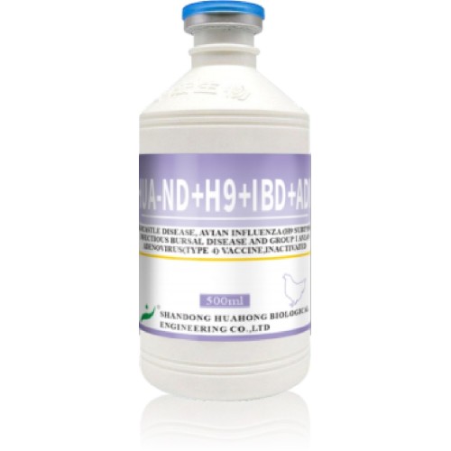 ND H9 IBD FAdV-4 Vaccin inactivat