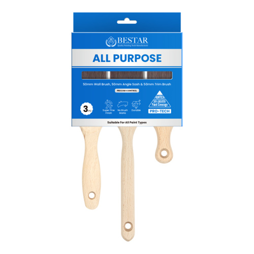 Boya fırçası kiti