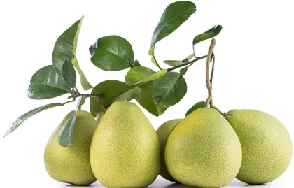 Organic Natural Japanese Yuzu Extract Naringin Powder