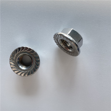 Fabricante de tuercas de brida hexagonal de acero inoxidable en China