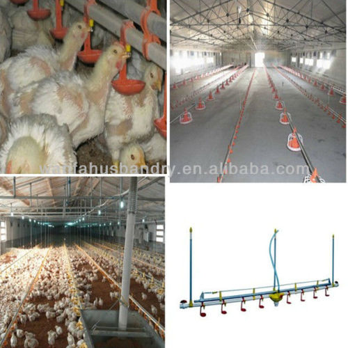 Used Automatic Farming Broiler Poultry Chicken Equipment, High Quality