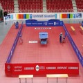 ENLIO table tennis floor/ table tennis sports flooring