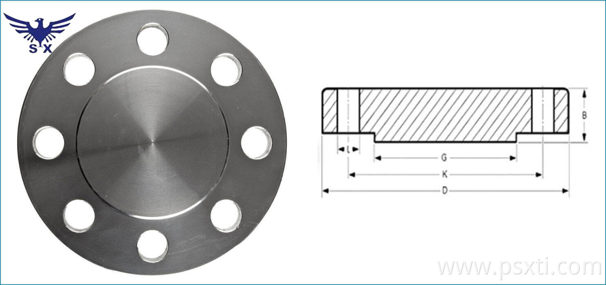 Titanium Blind Flange