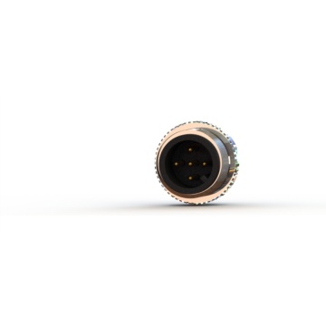 M12 Male 5-pin D Key Shielded Connectors
