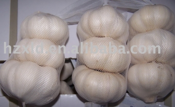 Pure white garlic(2008 new crop)3p garlic