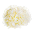 Comestics Comestics Tremella fuciformis استخراج مسحوق