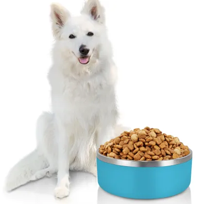Durable Non-Skid Insulated Rubber Bottom Pet Bowl
