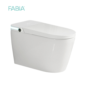 Hot Sale Smart Toilet Bidet with Led Display