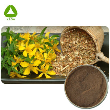 Organic St. John Wort Hypericum perforatum Extract Powder