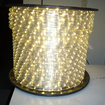 (100M) LED 2 Wire Chasing Rope Light