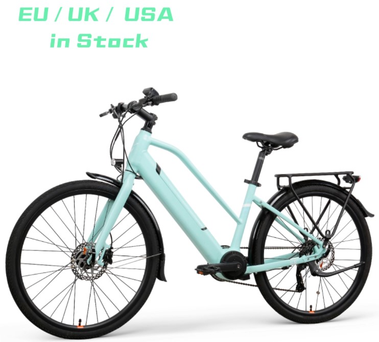 Grüne Elektrofahrrad 26 Zoll