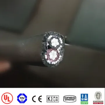 Copper or Aluminum XLPE PVC PE Insulation PVC PE Sheath Concentric Cable 2*8AWG Feeder Cable