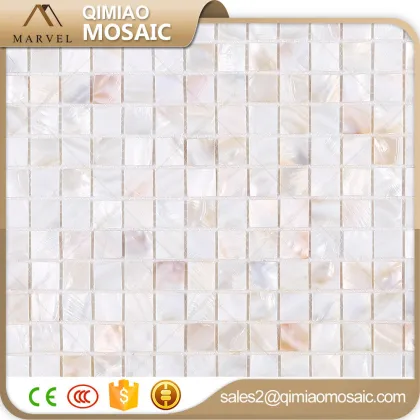 All Kinds Of Building Materials Super White Sea Shell Abalone Mosaic