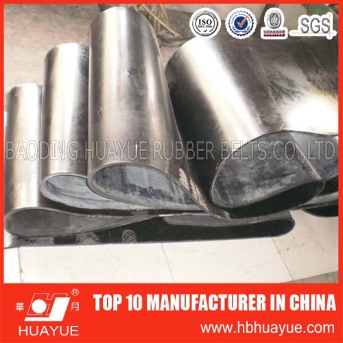 Din Standard Nylon Core Conveyor Belt, High Quality Din Standard Nylon