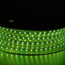 Corde lumineuse LED multicolore étanche