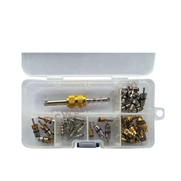 Factory Direct AC Parts Valve Core Kit for Car Air Conditioner System