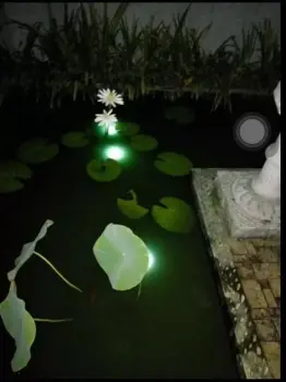 Solar Powered Pond Light Waterproof IP68