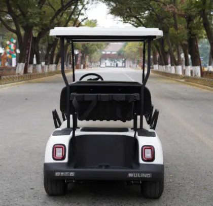 6 Seater Electric Sightseeing Bus - Antique Vintage Electric Sightseeing Car