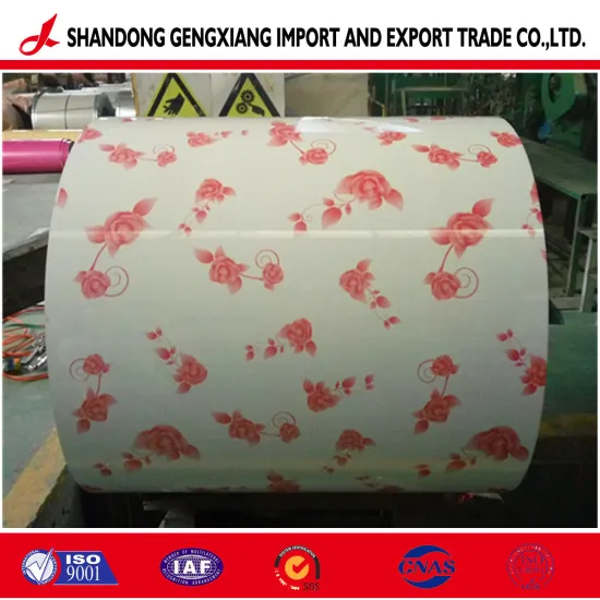 Flower Pattern Color Printing PPGI Steel Coil Factory