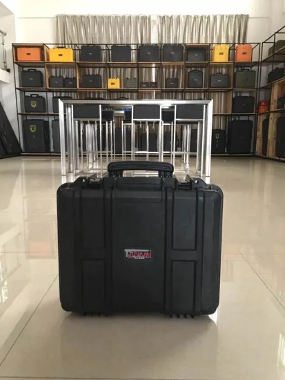 New Super Light TSUNAMI Waterproof Hard Plastic Wireless Camera Mics Flight Case