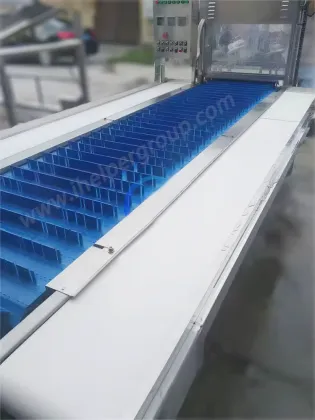 Fish Slicing Machine