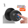/msite/products/detail/productid/65712879/id/1595383.html