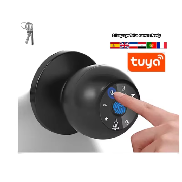 Smart Tuya Fingprint Password Password Runb