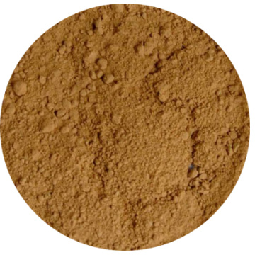 Pig Gallbladder Extract Powder Ox bile Powder