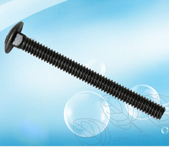 1/4"-1" Carriage bolt