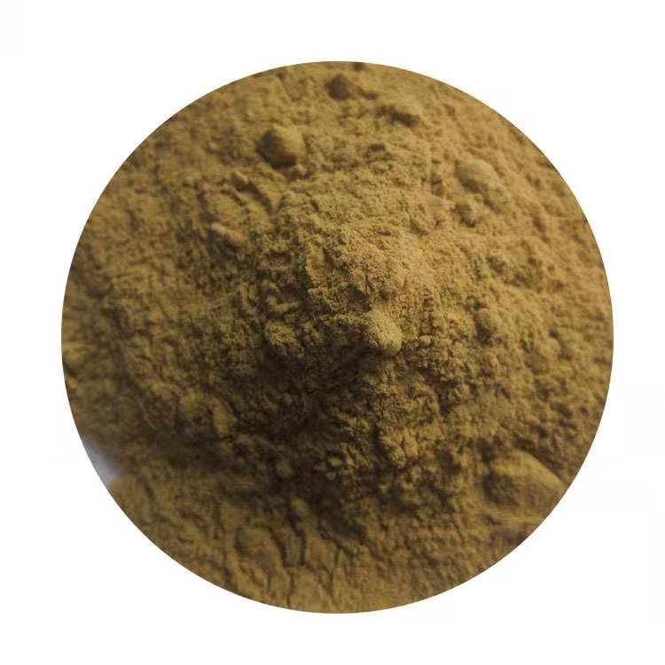 Extrato de planta de grão de café verde em ácido clorogênico