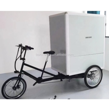 Kinaleverantör: Högkvalitativ 750W Electric Cargo Delivery Tricycle for European Transportation