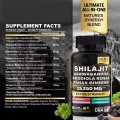 OEM Private label Natural Shilajit extract Capsules Shilajit Capsules