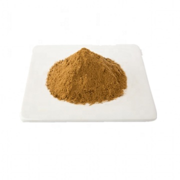 Honeysuckle flower extract 20% chlorogenic acid powder