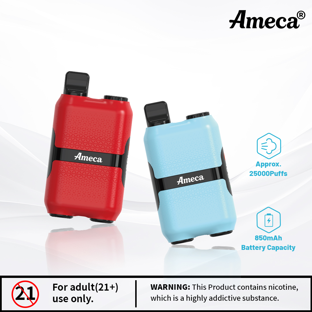 Ameca5