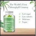 Boost Energy Digestive Antioxidant Clorophill Gummies