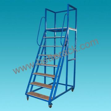 warehouse ladder