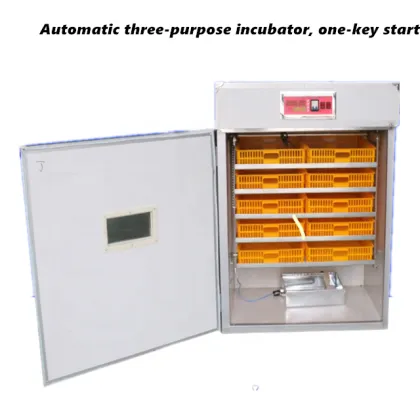 Egg Incubator and Hatcher Equipment