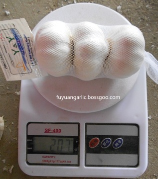 Jinxiang Fresh Garlic