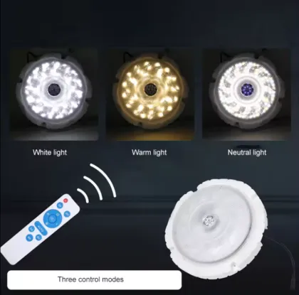 Solar Powered Ceiling Lights