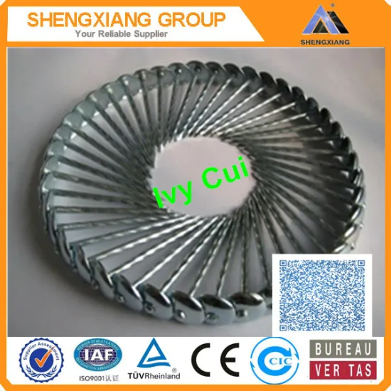 Galvanized Roofing Nails With Umbrella Head for Sale