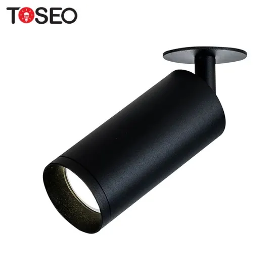 Europe Standard Surface Mounted Reversible Recessed LED Downlight with Adjustable Quality Spotlight