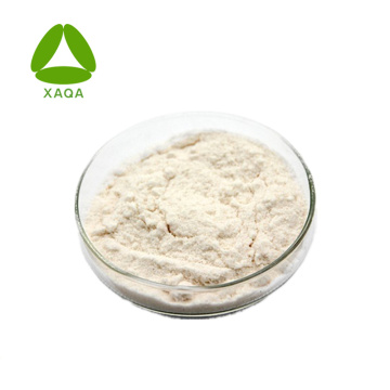Bulk White Kidney Bean Extract Phaseolin 1% Powder