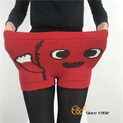 Sexy Underwear Short Pants For Women