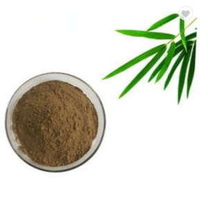 Best quality Echinacea Purpurea Root Extract Powder