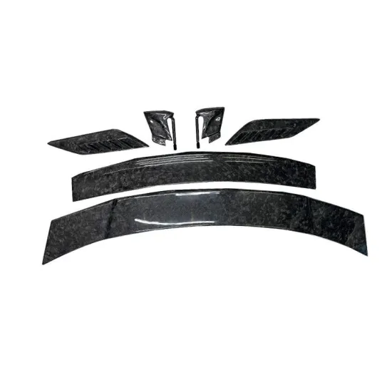 Mercedes-Benz AMG GT 2-Door R Carbon Fiber Tail Wing: 2016 Model