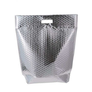 Insulated Cooler Bag Suitable for Picnic