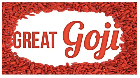 Goji Dry Fruit Chinese Ningxia Medicinal Goji Berry