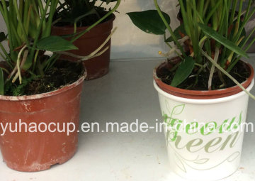 Decorazione del vaso del fiore con buon prezzo