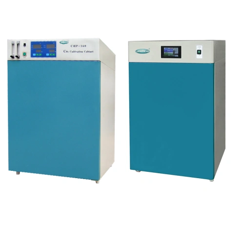 Chemical or Biology Laboratory Test Chamber Temperature Drying Oven - China  Incubator, Drying Machine